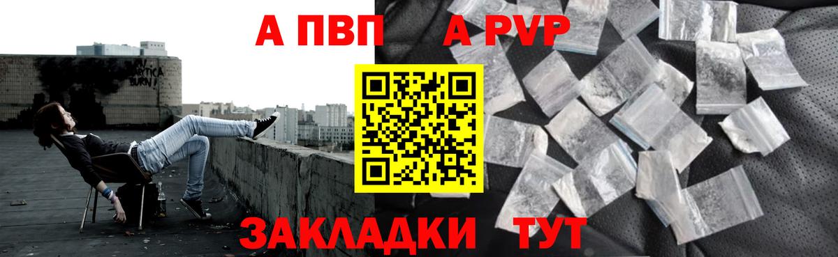 Alfa_PVP СК Апшеронск
