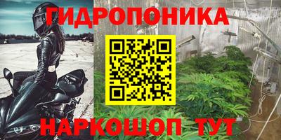 apvp Бузулук