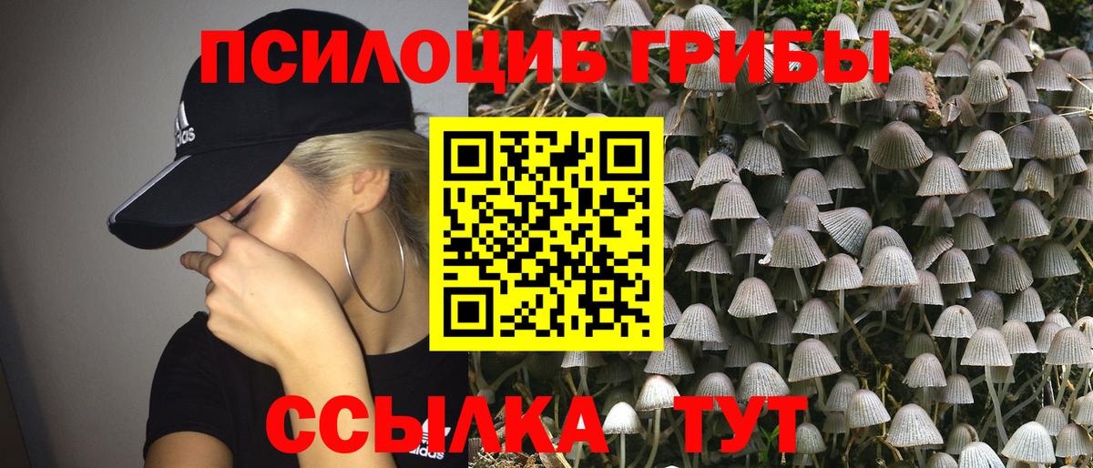 Псилоцибиновые грибы прущие грибы Апшеронск