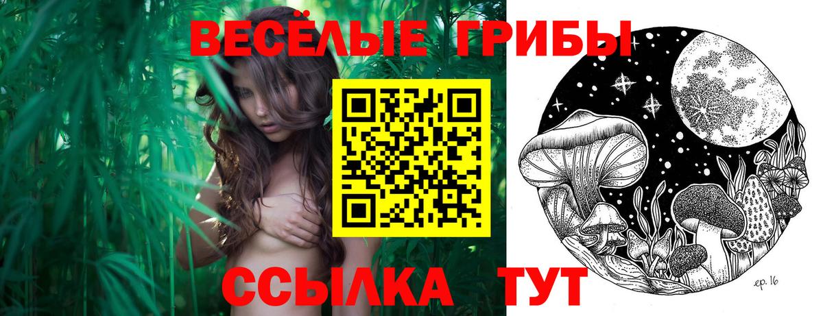 Апшеронск  Галлюциногенные грибы Psilocybine cubensis  Вход с VPN 